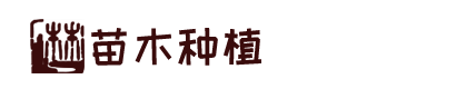 WEPOKER下载丨WEPOKER APP丨微扑克下载